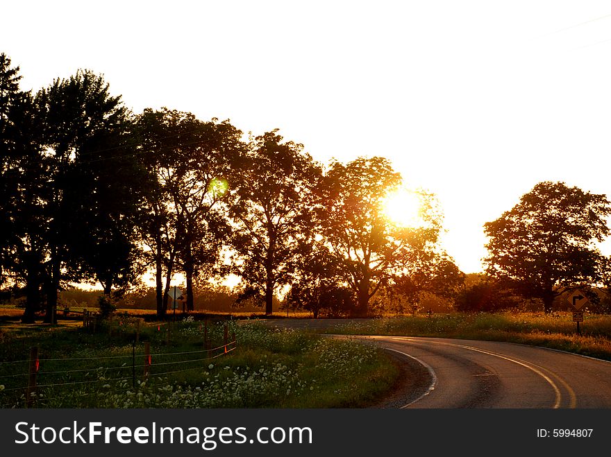 This road gleamed golden from behind those trees. This road gleamed golden from behind those trees.