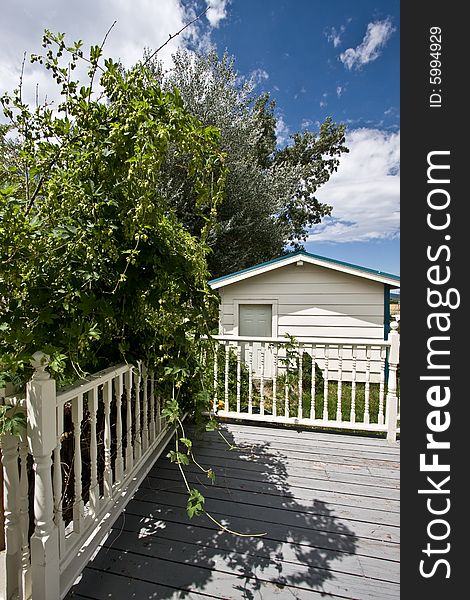 View of deck and wood railing with overhanging shrubs. View of deck and wood railing with overhanging shrubs