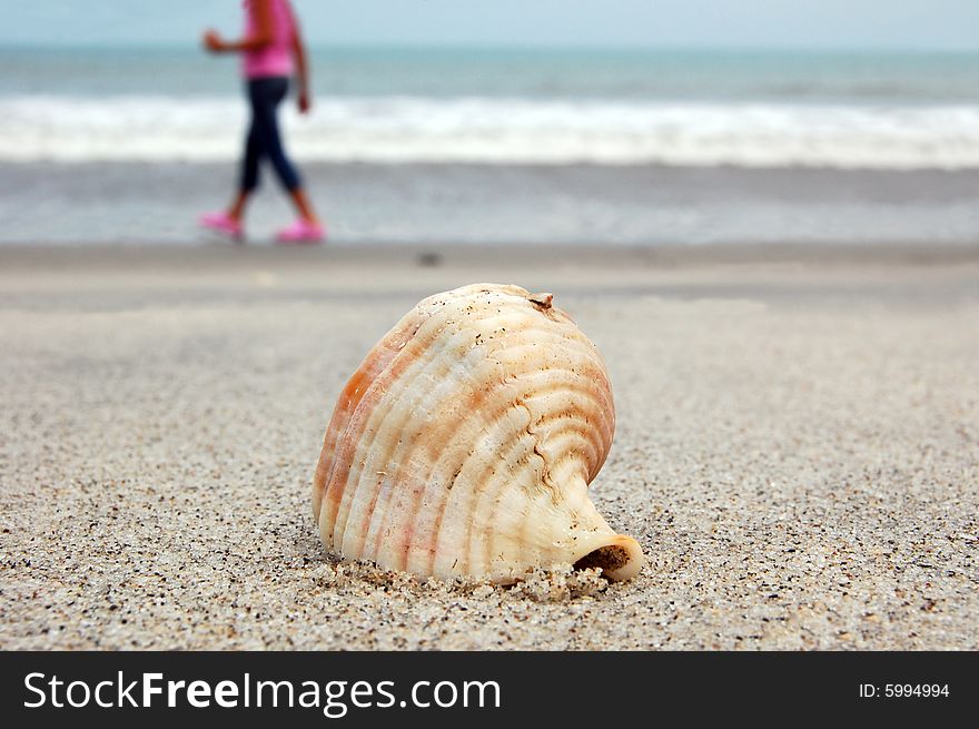 Small sea shell on a tropical beach with girl silhouette in the background. Small sea shell on a tropical beach with girl silhouette in the background