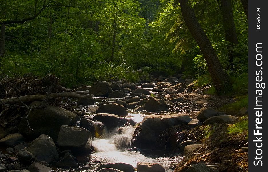 Forest stream flowing through rocks under filtered sunlight. Forest stream flowing through rocks under filtered sunlight