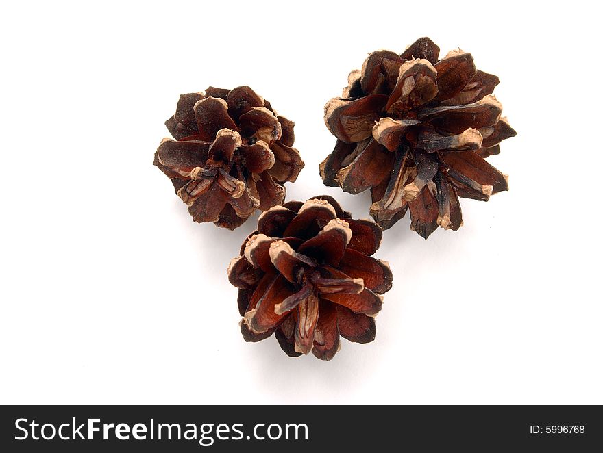 Brown pine-cones on white background