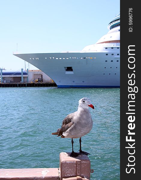 A big cruise ship is docked at the bay in San Diego, California, and a bird perches on a fence in the foreground. A big cruise ship is docked at the bay in San Diego, California, and a bird perches on a fence in the foreground.