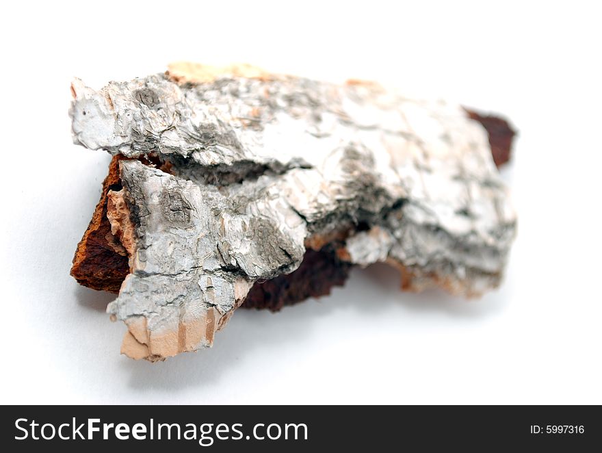 Bark of tree on white background