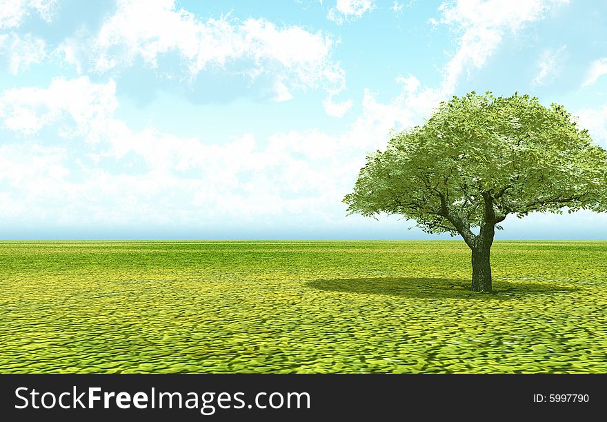 Beautiful landscape with lonely tree