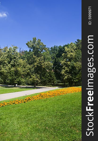 A beautiful city park in the summer