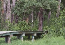 Wooden Walkway Royalty Free Stock Image Wooden Walkway Royalty Free Stock Image
