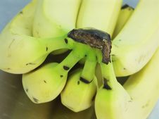 Babanas Stock Image