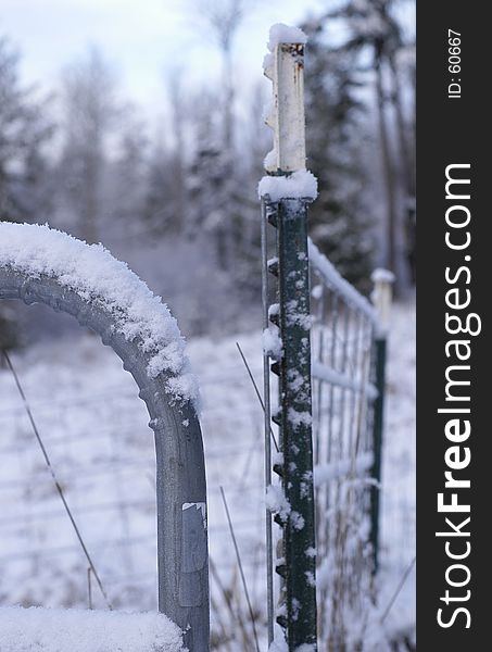 Winter fence scene