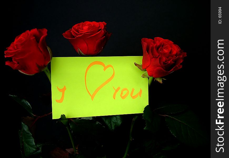 I Love You 1