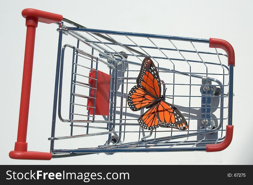 Butterfly inside shopping cart. Butterfly inside shopping cart