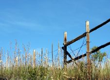 Fenceline Stock Image