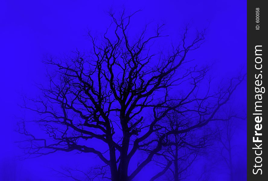 Tree silhouette blue