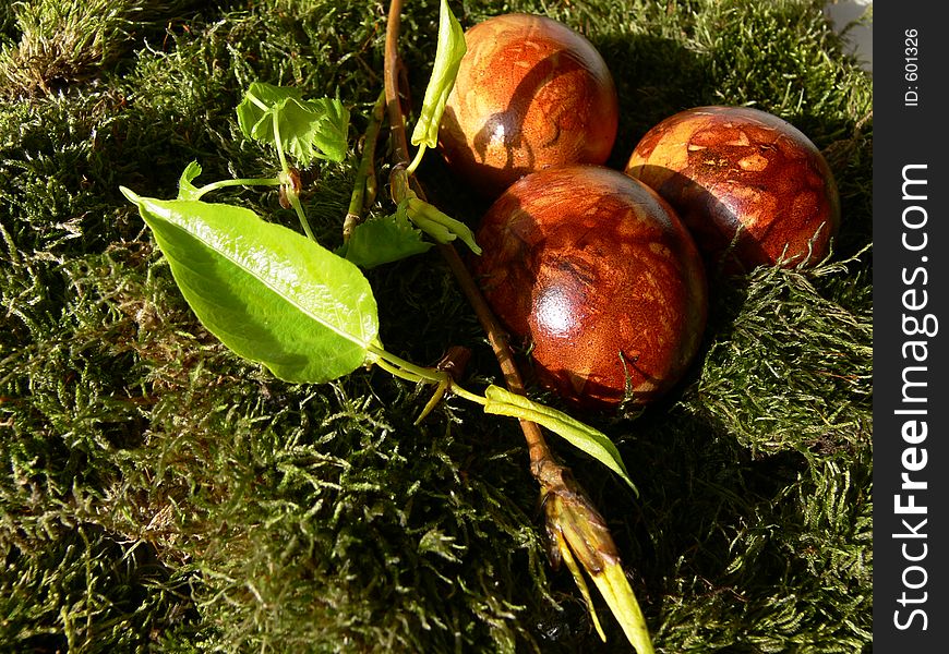 Colourful easter eggs in moss. Colourful easter eggs in moss.