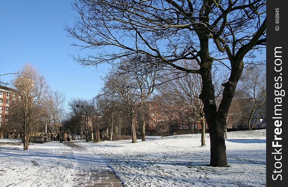 Snow in the park