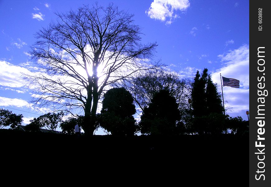 Silhouette tree against a deep blue sky, with flag. Silhouette tree against a deep blue sky, with flag