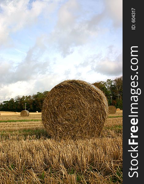 Hay bale in field, East Sussex, UK