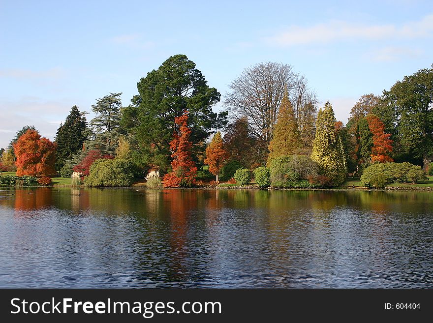 Autumn trees, Sheffield Park, Sussex