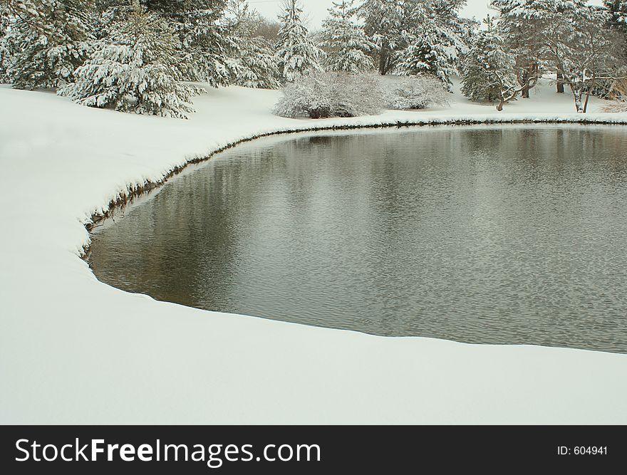 Pond at Bottle Creek, winter