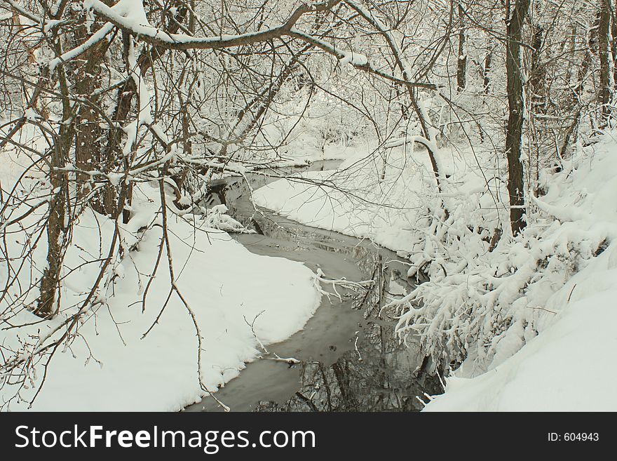 Bottle Creek, winter