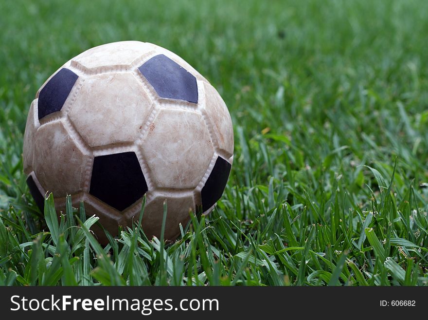 A toy foot ball on the lawn