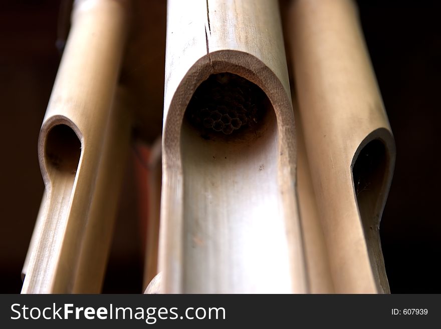 Macro of bamboo windchimes. Shallow depth of field. Over exposed. Canon EOS 20D ISO400