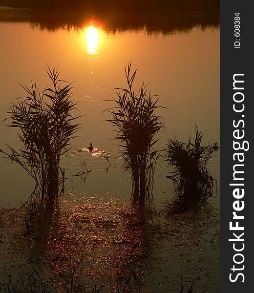 Sunrice on a lake near Bucharest, Romania, Europe. Sunrice on a lake near Bucharest, Romania, Europe