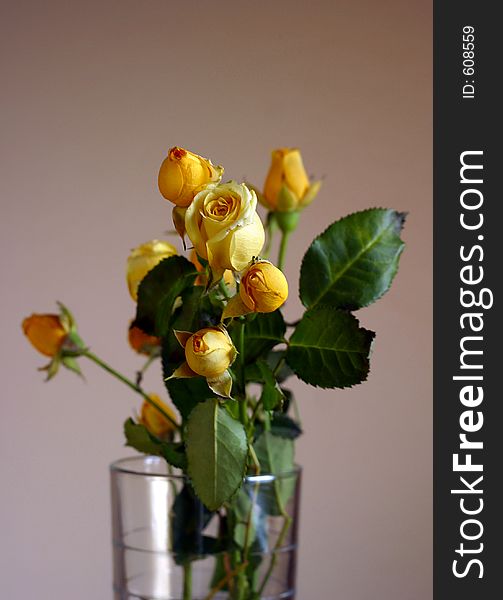 Small roses in a glass glass. Small roses in a glass glass