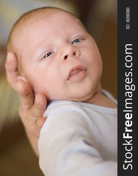 Newborn portrait