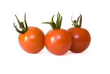 Three Cherry Tomatoes Stock Image