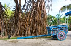 Colorful Wagon And Banyan Tree Stock Image