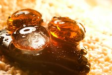 Still Life Royalty Free Stock Image Still Life Royalty Free Stock Image