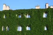 House Fully Covered By Ivy Creeper Stock Photos House Fully Covered By Ivy Creeper Stock Photos