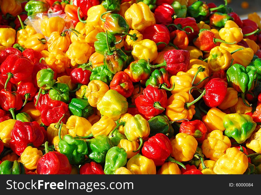 Fresh green,yellow and red peppers at open market in tropics. Fresh green,yellow and red peppers at open market in tropics.