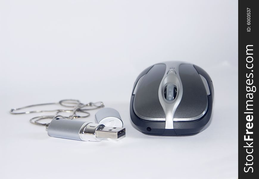 The image of the computer mouse and flash on a homogeneous background. The image of the computer mouse and flash on a homogeneous background