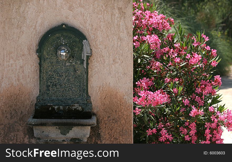 Water Fontaine With Flowers