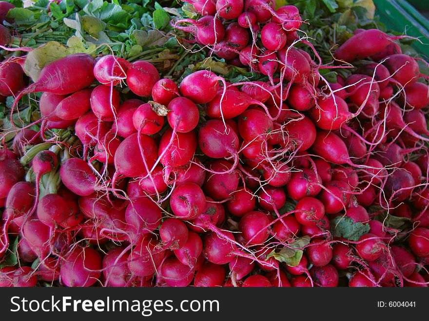 Bunch of radishes at the farmer's market. Bunch of radishes at the farmer's market.