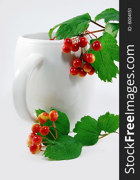 Wild red berries in white cup