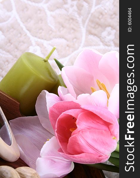 Spring aromathetapy pink aroma  tulip
