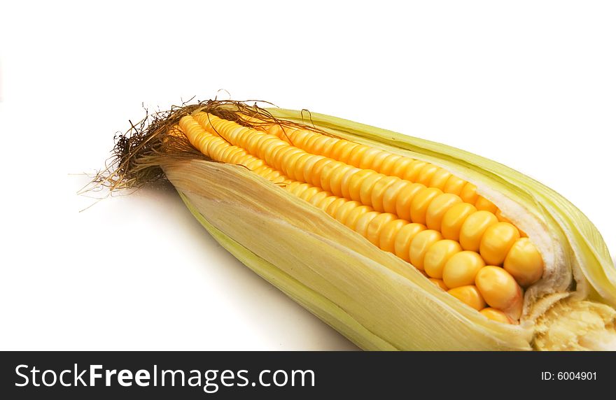 Crunchy Fresh Sweetcorn on white ground