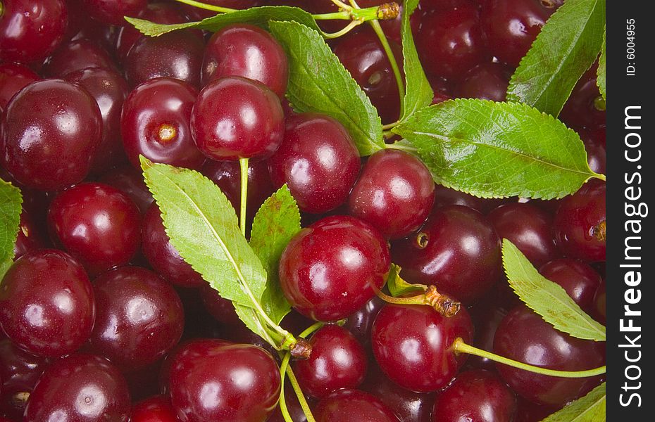 Sweet red cherries with leaves. Sweet red cherries with leaves