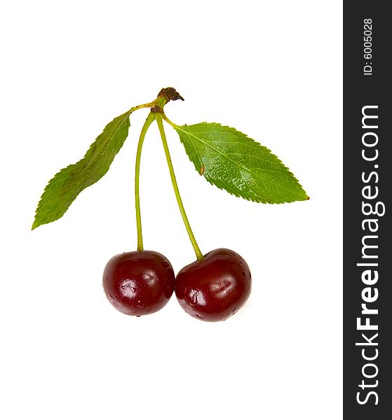 Isolated red cherries