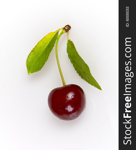 Sweet red cherry with leaves