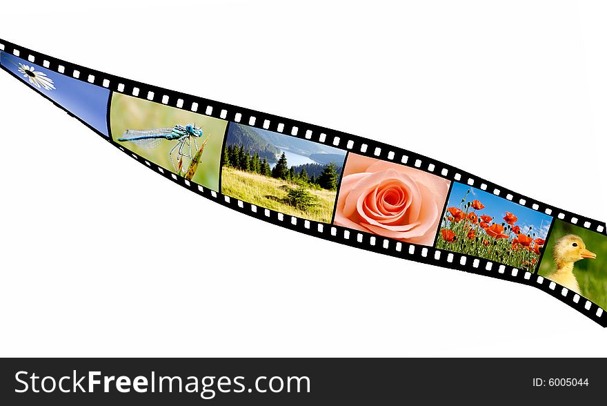 Film strip