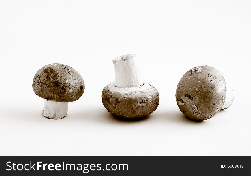 Still life of a row of three swiss brown button mushrooms in black and white