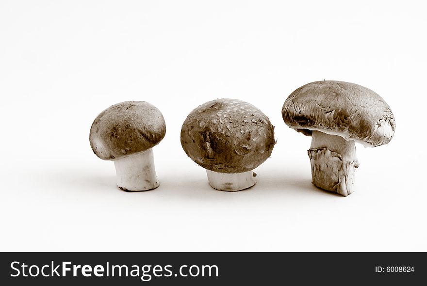 Still life of a row of three swiss brown button mushrooms in black and white