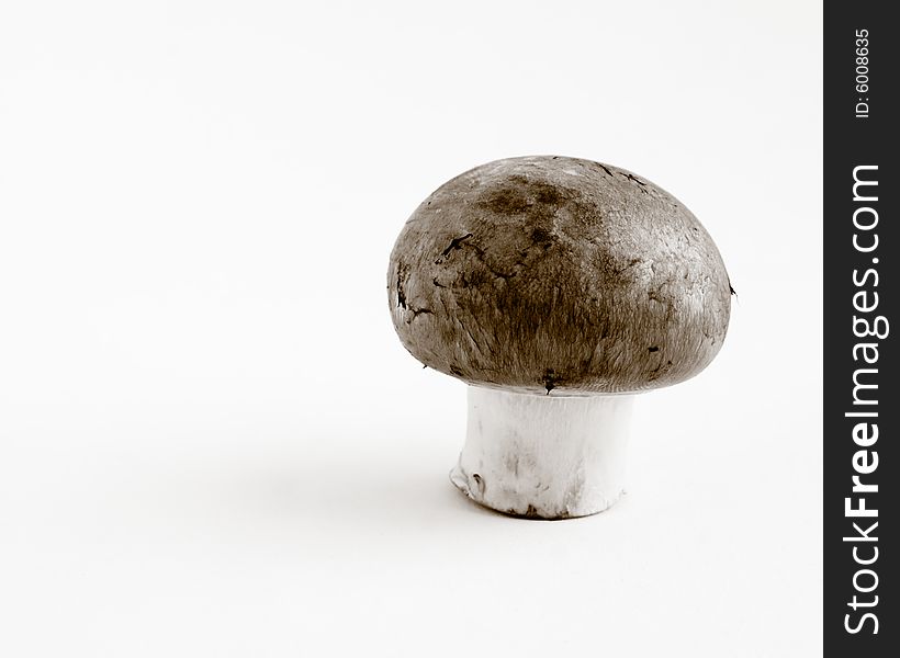 Still life of a single swiss brown button mushrooms in black and white. Still life of a single swiss brown button mushrooms in black and white