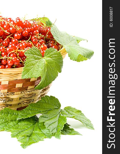 Fresh red currant in a basket on a white background