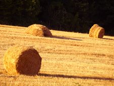 Hay S Rolls Royalty Free Stock Photography Hay S Rolls Royalty Free Stock Photography