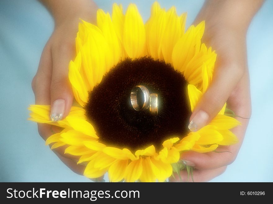 wedding ring born in sunflower