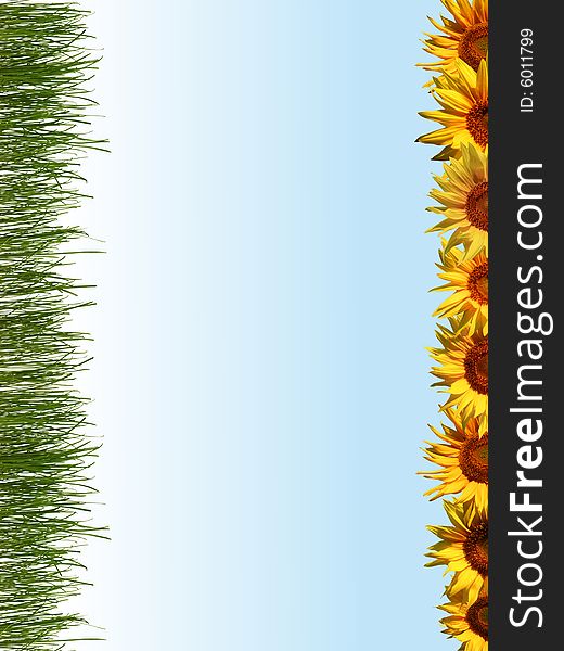 An image of sunflowers and grass in a line. An image of sunflowers and grass in a line.